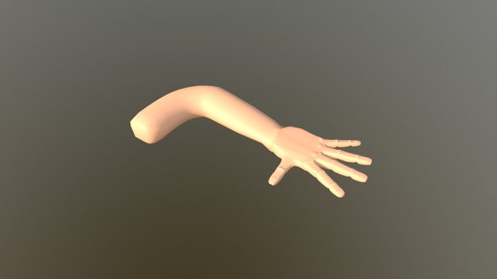Arm And Hand 3D Model