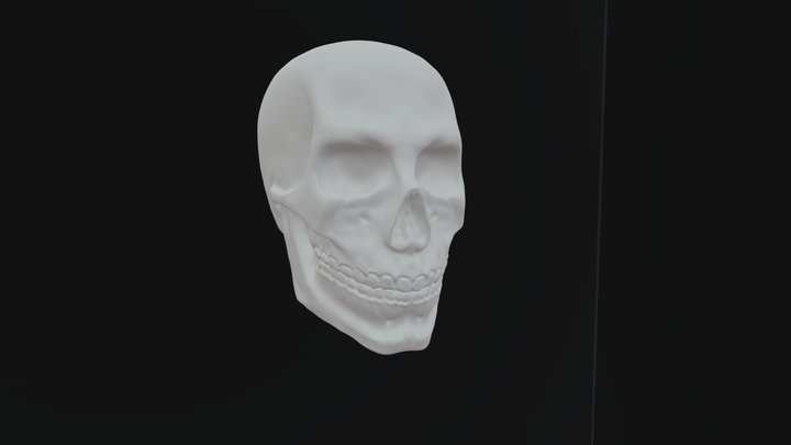 Just an ordinary skull 3D Model