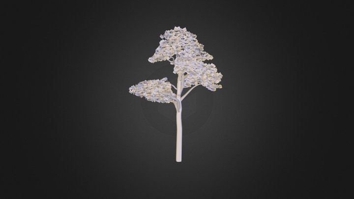 Pine1a-hi 3D Model