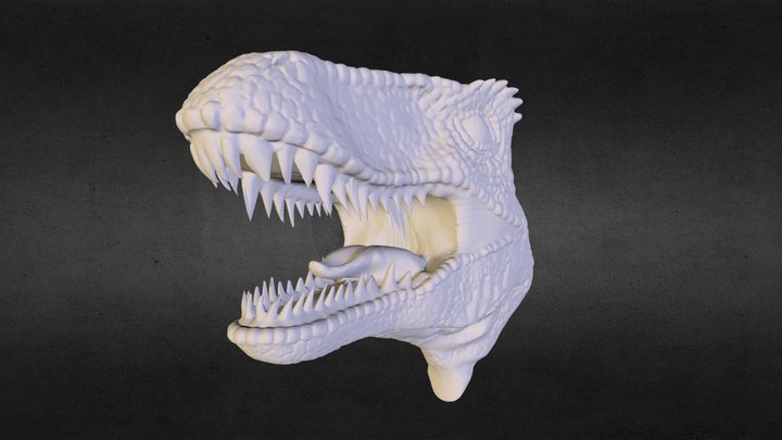 Raptor_09 WIP 3D Model
