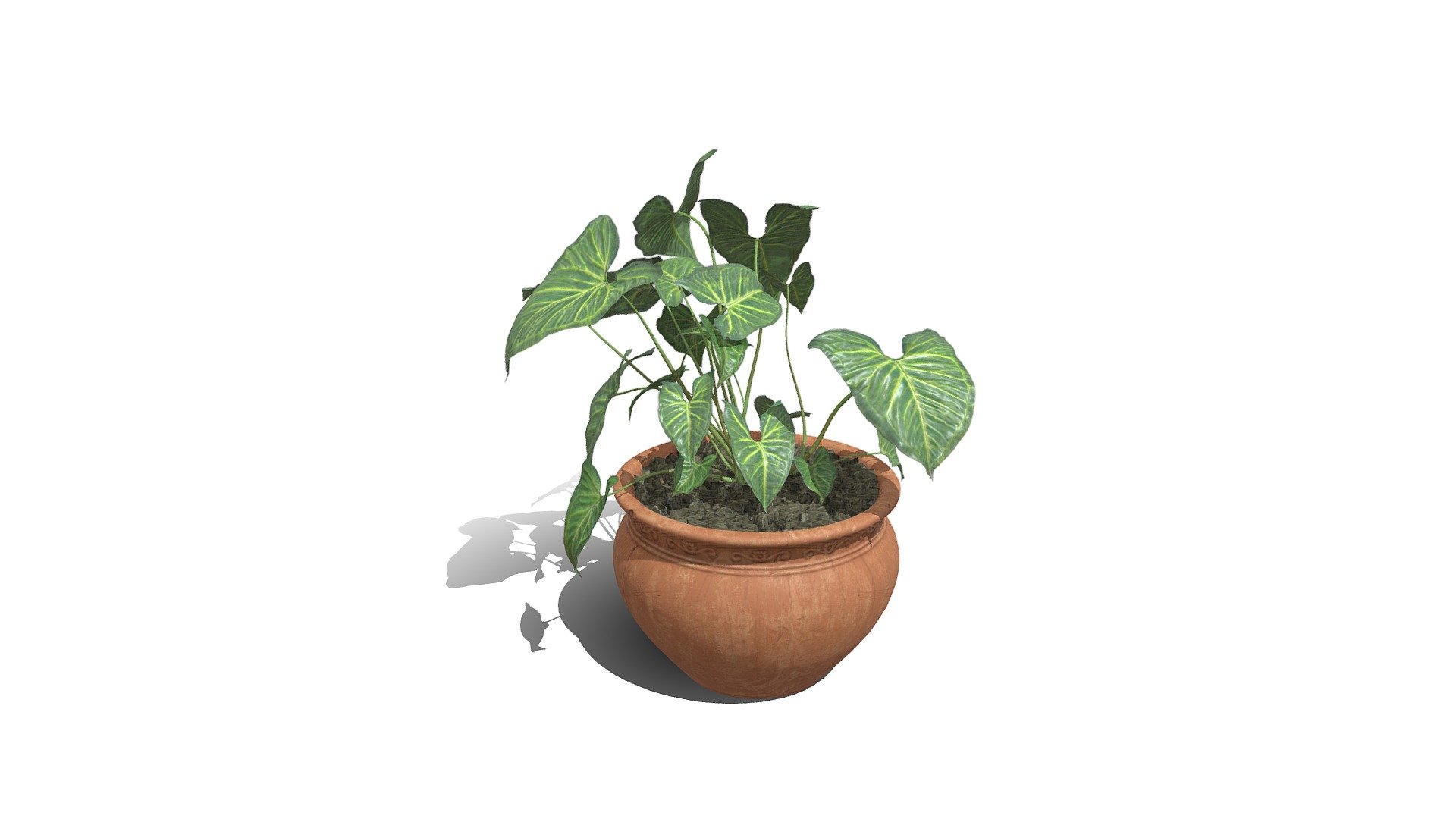 potted_plant_02_4k