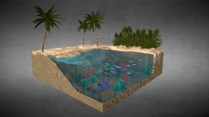 Coastal Ecosystem – 3D Environment 3D Model