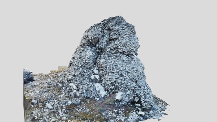 Gotland Rauk Rock - RealityScan 3D Model