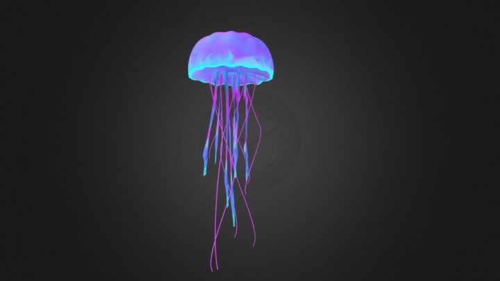 jellyfish 3D Model