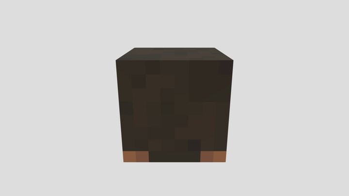 Villager Steve