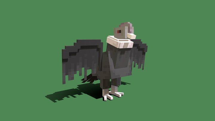 Andean Condor 3D Model