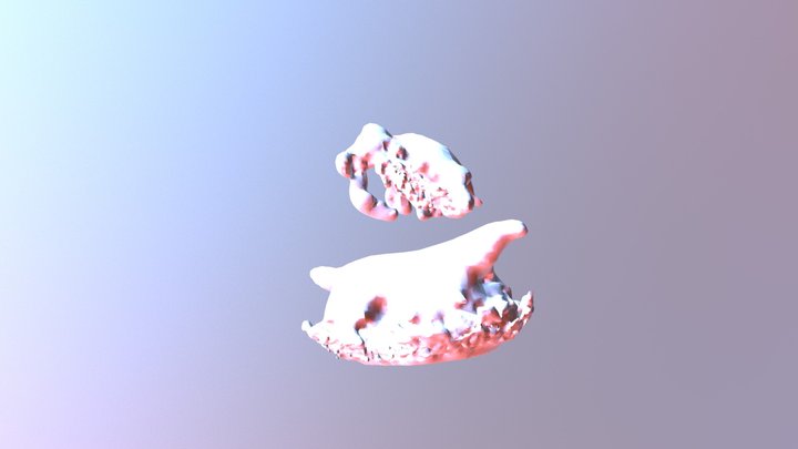 Rattleskull 3D Model