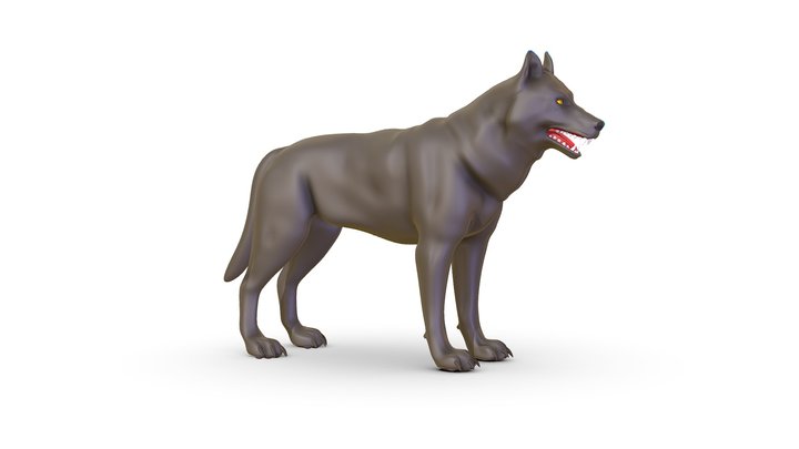 High Poly Model Grey Wolf 3D Model