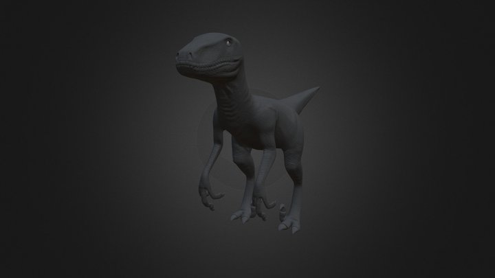 Raptor 3D Model