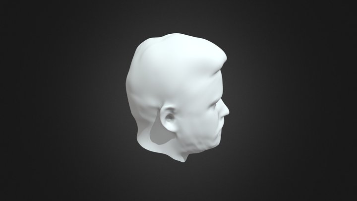 Head Bust 3D Model