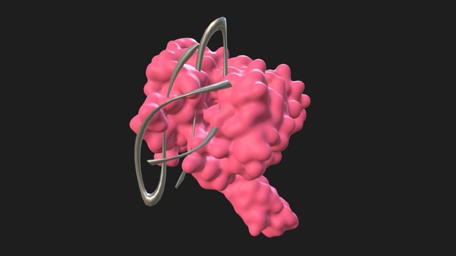 AS1411+nucleolin 3D Model