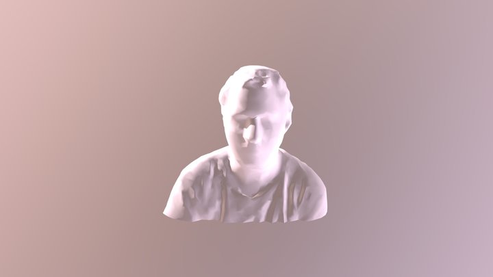 me scan with Skanect 3D Model
