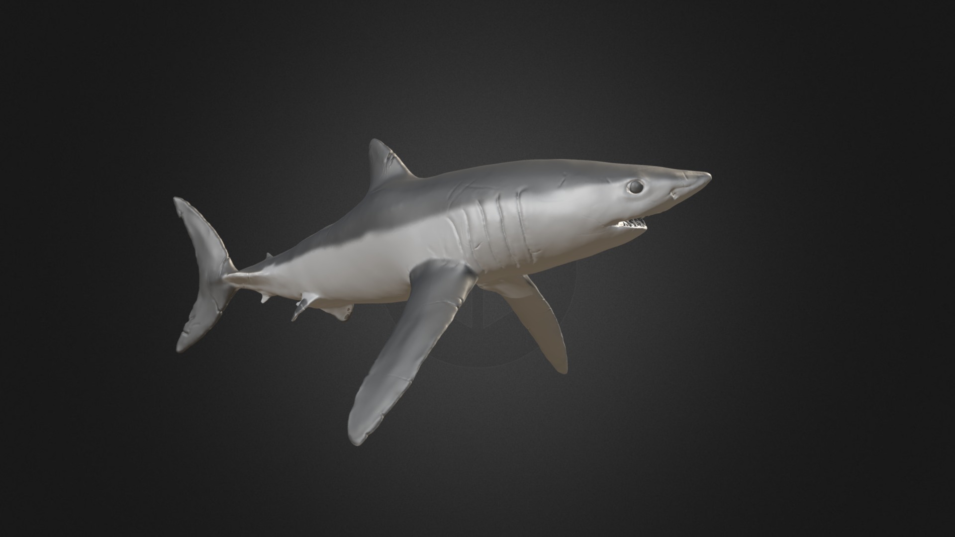 3D model Short-Fin Mako Shark Sculpt - This is a 3D model of the Short-Fin Mako Shark Sculpt. The 3D model is about a shark swimming in the water.