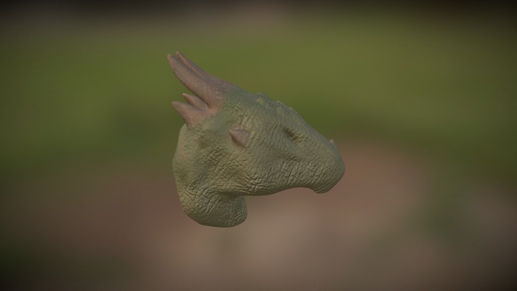 Head of dragon