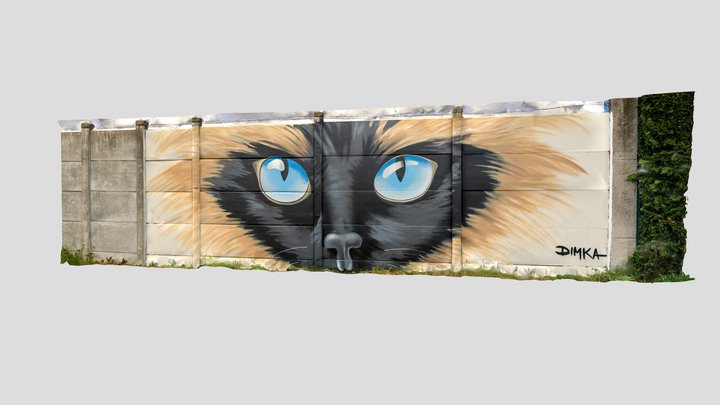 Cat look graff by artist DIMKA 3D Model