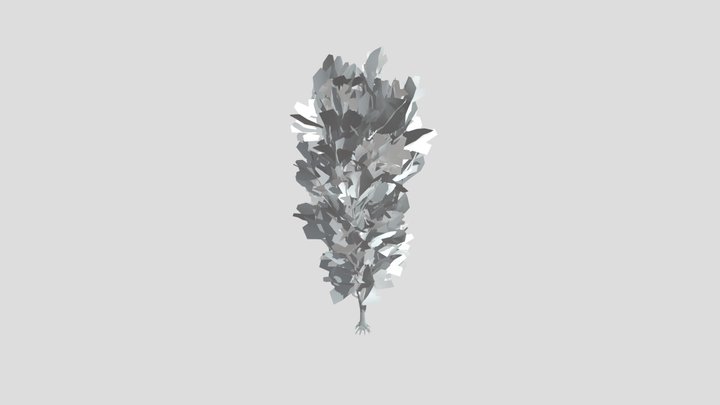 Coral Bark Tree Animated Lowpoly – Modello 3D gratuito STL