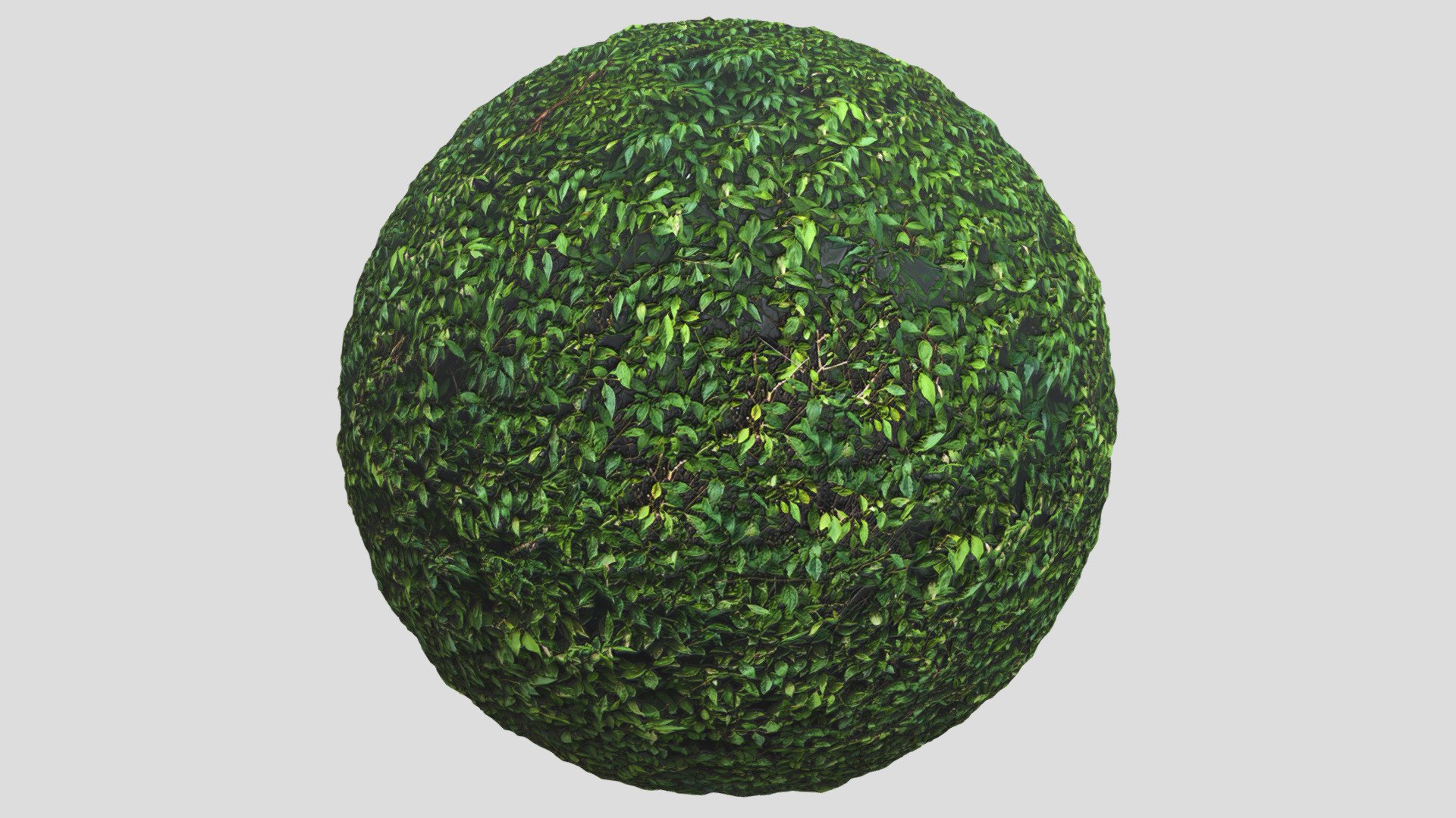 Leaves02