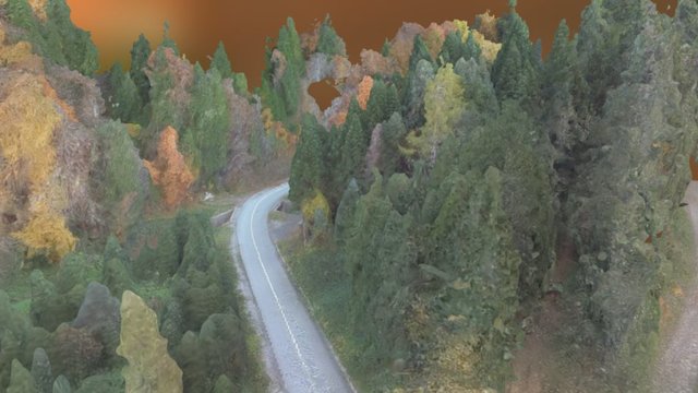 Autumn forest 3D Model