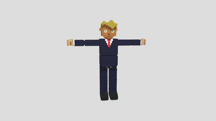 Donald trump - voxel3d 3D Model