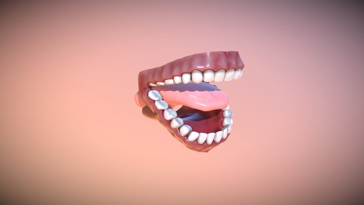 Dental Mouth and Teeth 3D Model