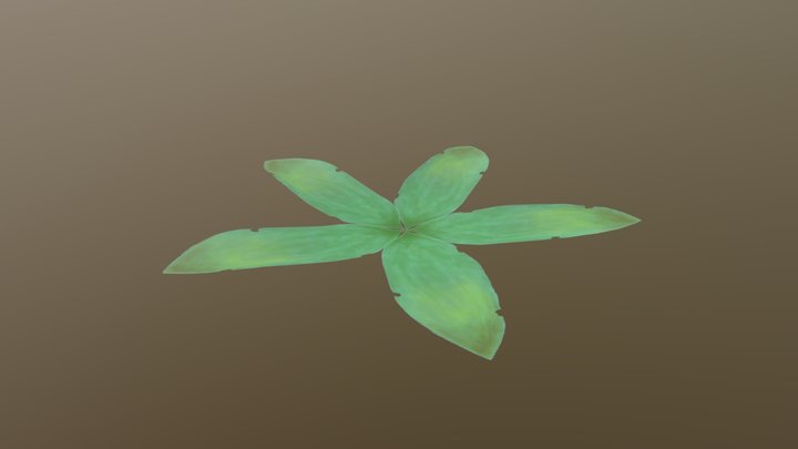 SM Leafarray 3D Model