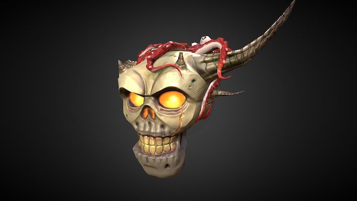 [ Octopus skull ] 3D Model