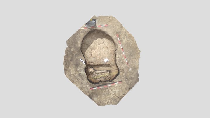 C5-ind11 3D Model