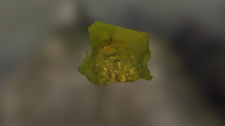 Kallo osa 3D Model