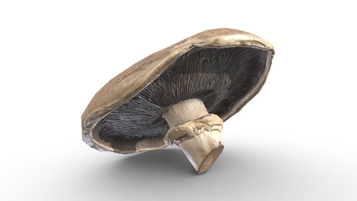 Mushroom (Game Ready / 2K PBR) – Gratis 3D-model STL