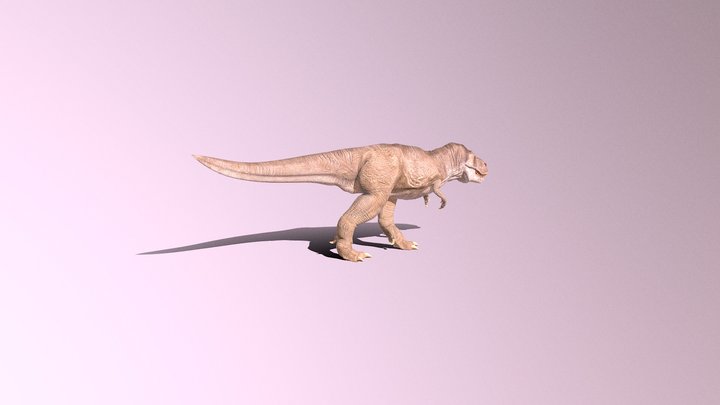 Tyrannosarus Rex 3D Model