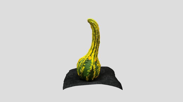 Gourd 3D Model