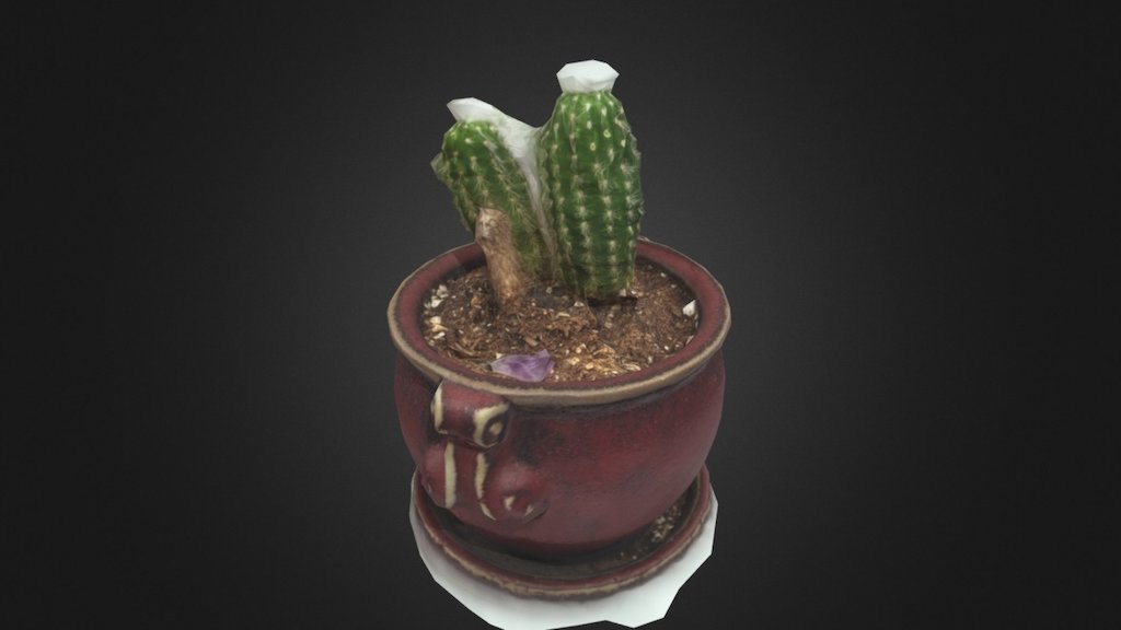 Cactus - Low Res