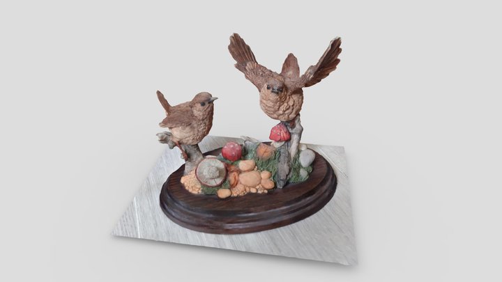 Wrens 3D Model