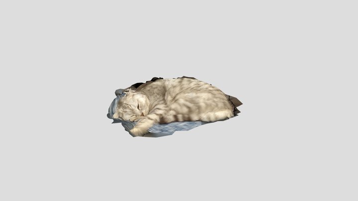 сараби 3D Model