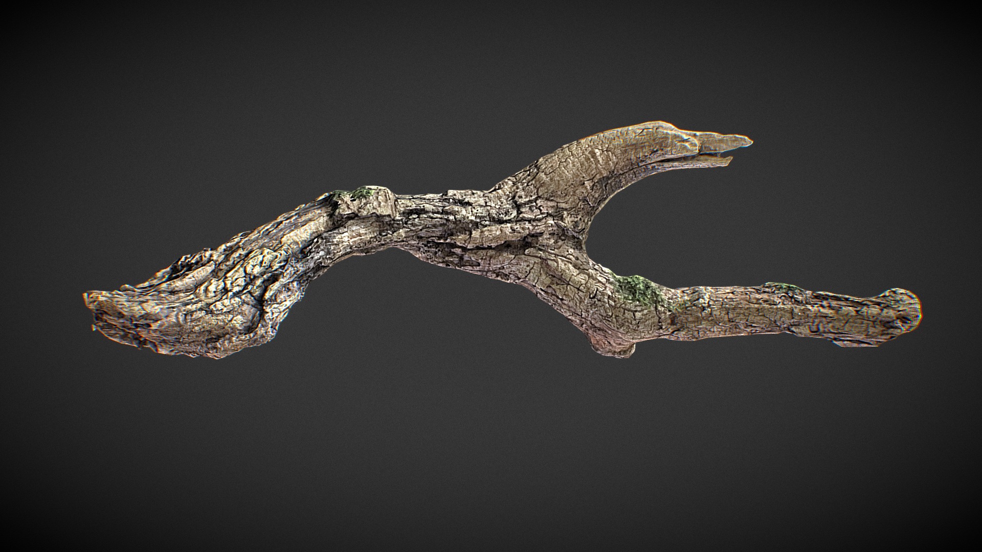 3D model Dead-branch 14 - This is a 3D model of the Dead-branch 14. The 3D model is about a snake with a long tail.