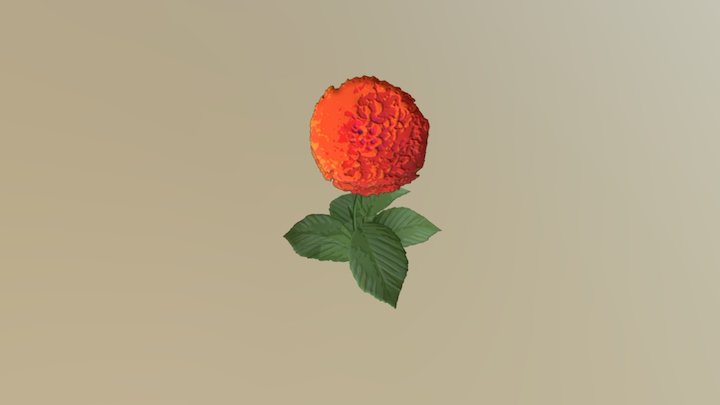 Red Flower 3D Model