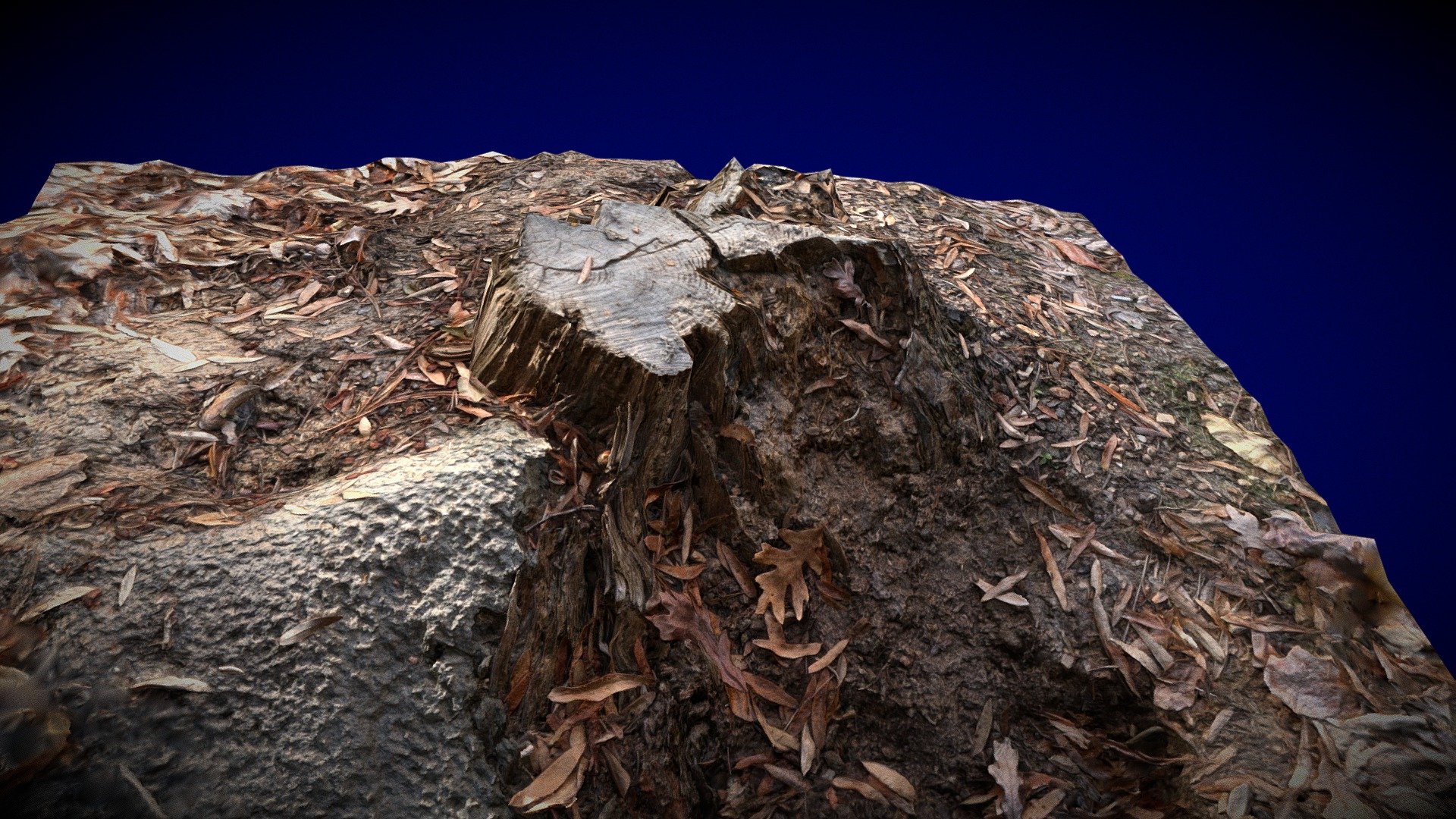 Tree Stump