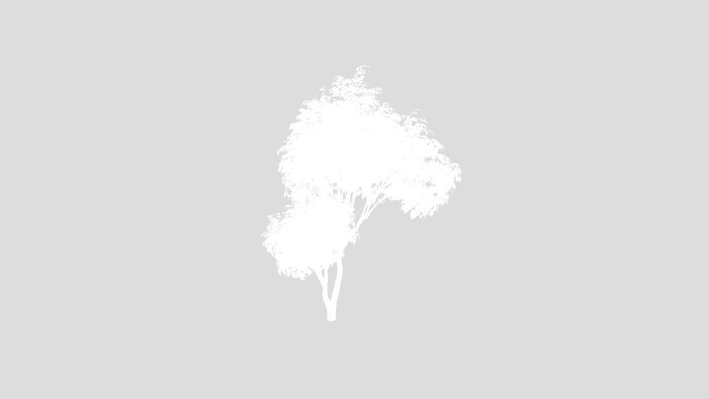 Beautiful Tree Japanese Cherry Leaf
