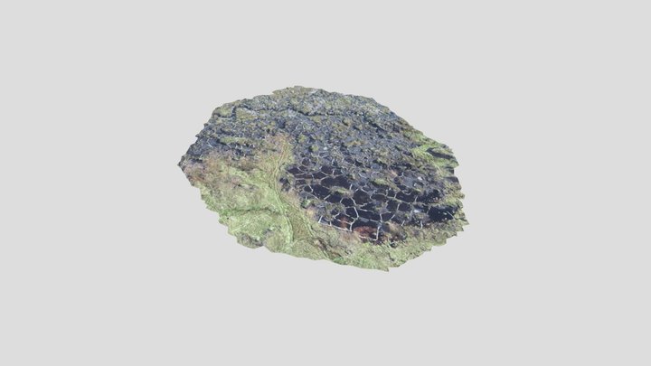 A tiny piece of Fleet Moss 3D Model