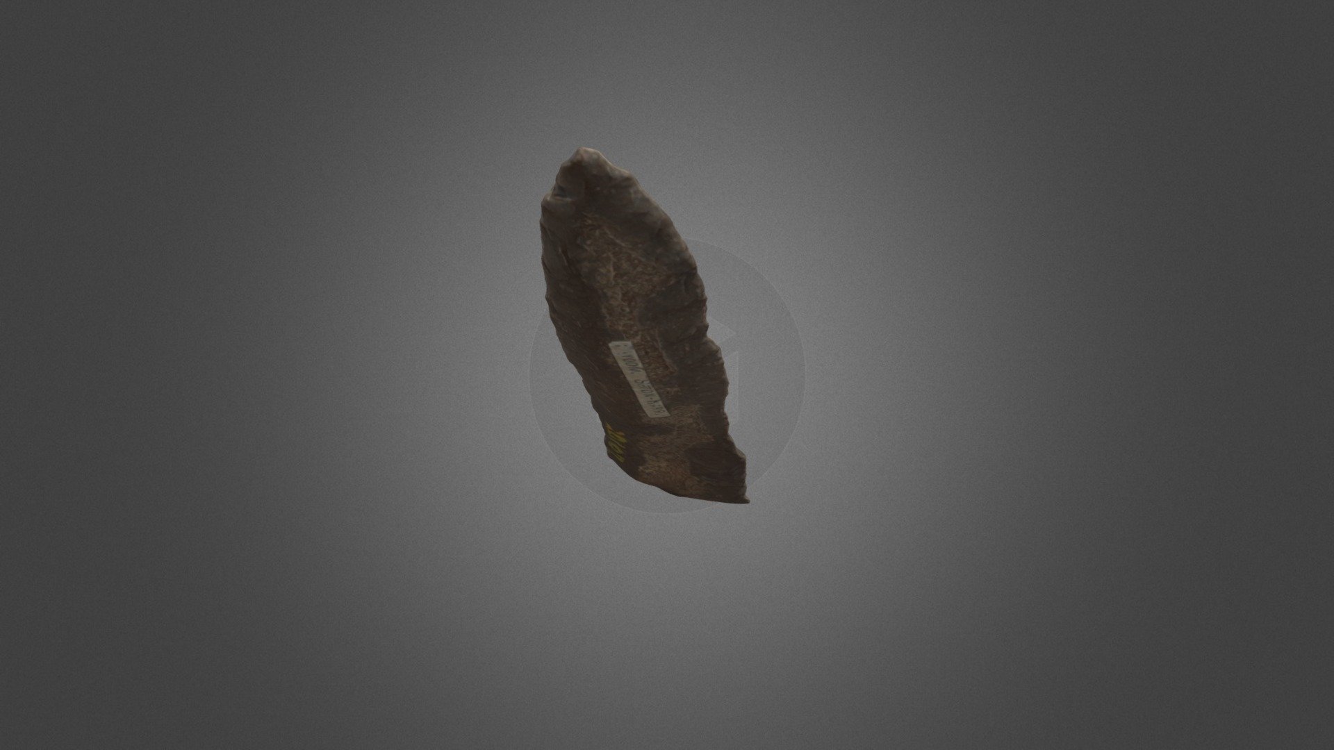 Biface (20107)