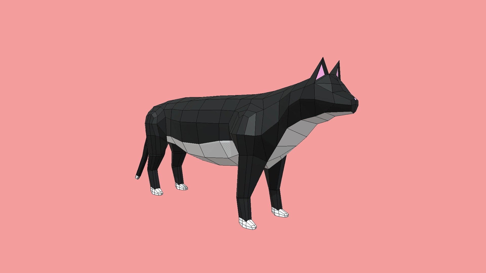 Low Poly Cat