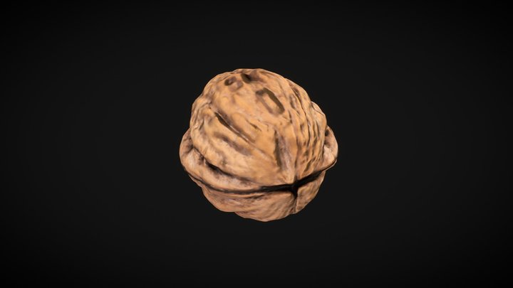 arch4des_walnut_geometry_low 3D Model