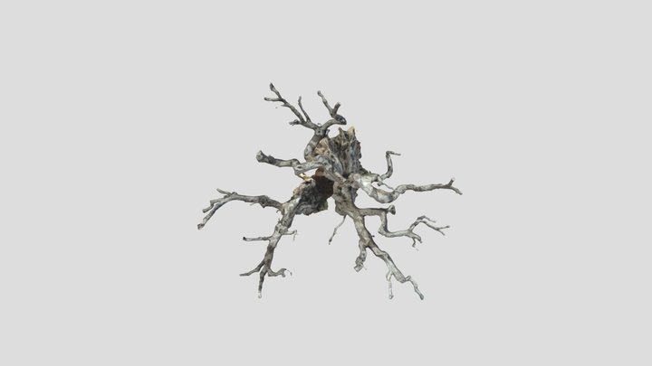 Il Gigante di Alliste (LE) 3D Model
