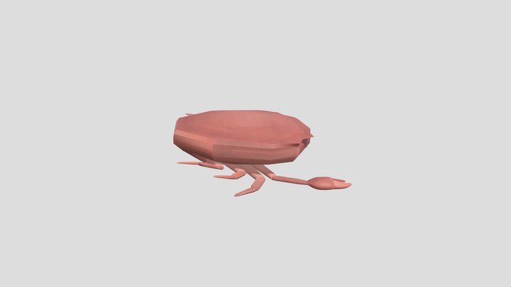Crab Model 3D Model