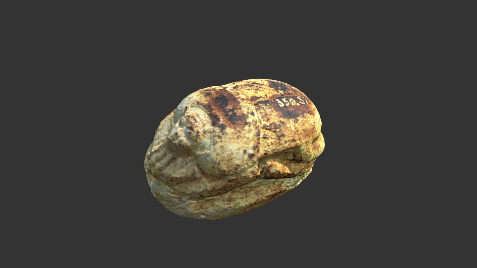 Scarab