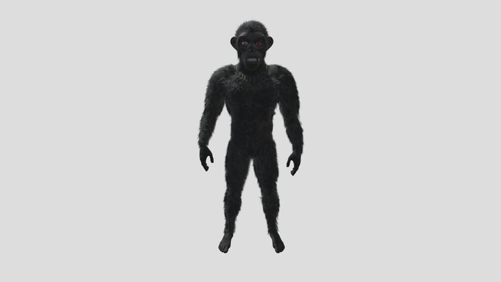 Ape 3D Model