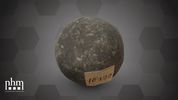 Plesiocapparis prisca (NHMW-GEO-2024/0188/10422) – Free 3D Model STL
