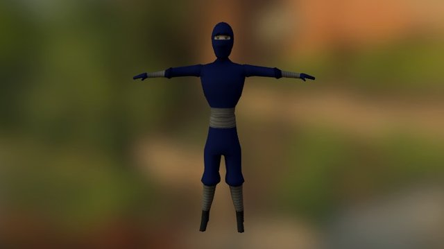 Ninja 3D Model