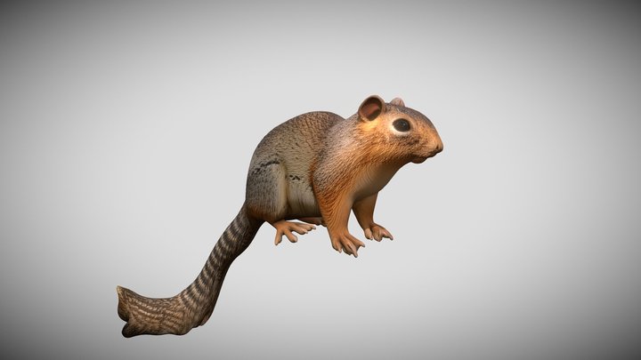 Notocitellus Annulatus – Modello 3D gratuito STL