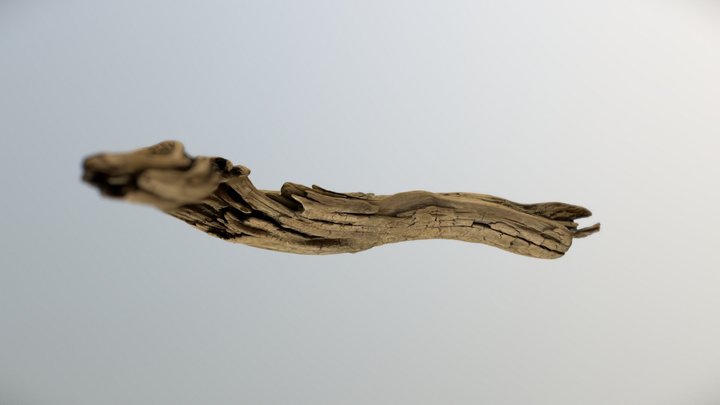 Driftwood Scan 3D Model